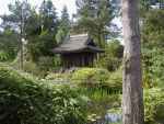 Japanischer Garten im Tatton Park